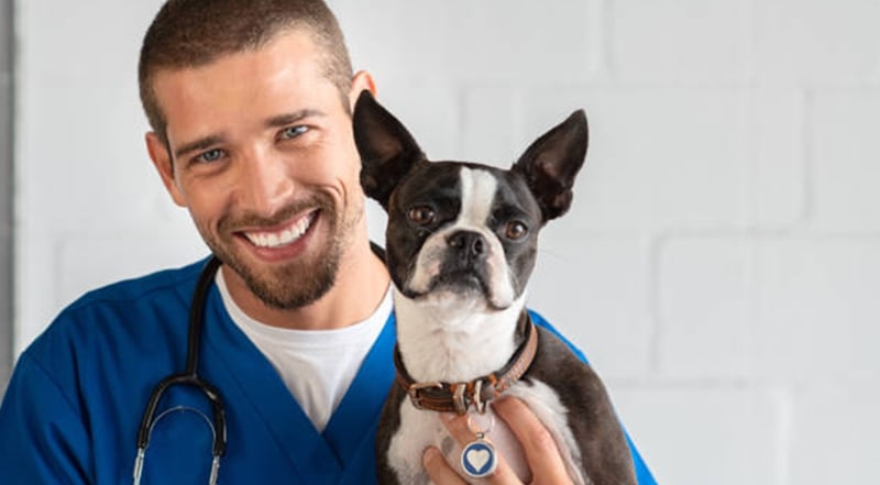 Ventajas de tener una veterinaria cerca