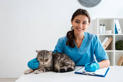 clínica veterinaria cerca de mi