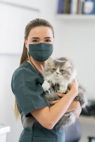 veterinaria cerca de mi
